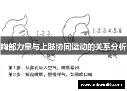 胸部力量与上肢协同运动的关系分析